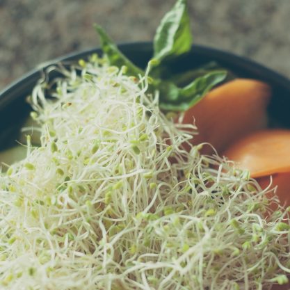 Broccoli Sprouts