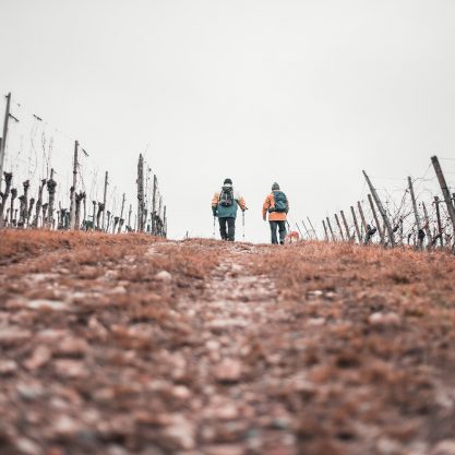 jimmy-travelp-W4zMMGJpDLU-unsplash_1000