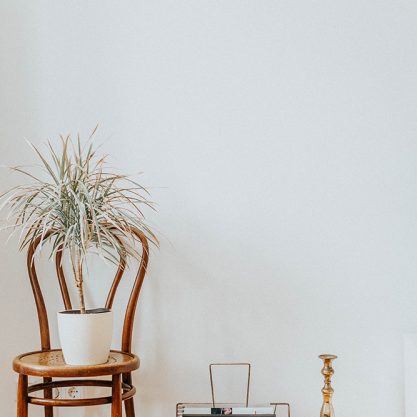 7 Tips for Keeping Your Indoor Plants Alive in the Winter